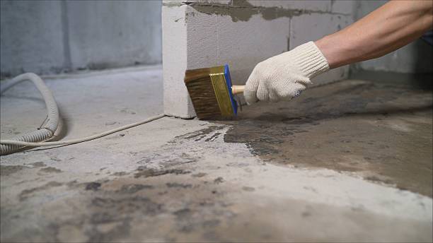 Top rated local Waterproofing specialists in Covington, VA